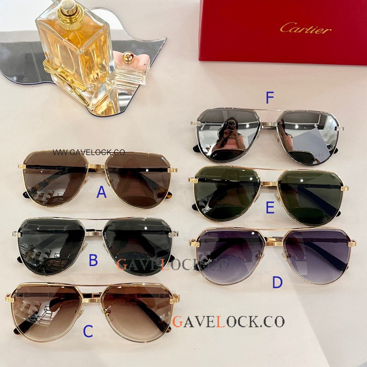 Cartier Santos Sunglasses CT389 Black Fading lenses